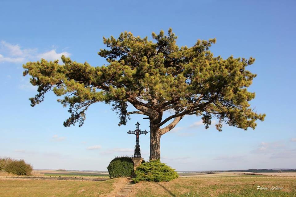 Auberge Du Pied Des Monts Grivy-Loisy Zewnętrze zdjęcie